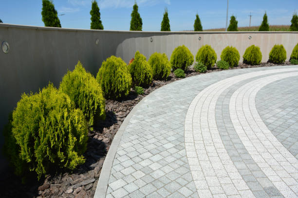 Best Decorative Driveway Pavers  in Pearisburg, VA